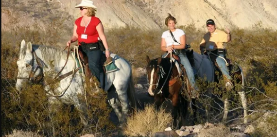 Standard Horseback Ride