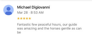Review from Michael Dioiovanni