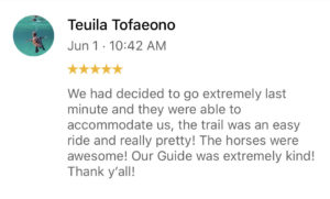 Review from Tequila Tofaeono