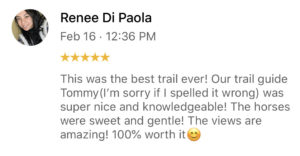 Review from Renee Di Paola